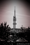 11-05-07-mmm-darkina - fotografie 71 z 143