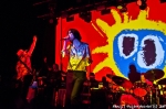 Primal Scream - 11.8.11 - fotografie 31 z 55