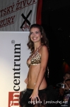 Miss VSE - 24.11.11 - fotografie 83 z 177
