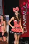 Miss VSE - 24.11.11 - fotografie 86 z 177