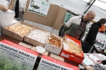 Fotky z Cannafestu 2011 - fotografie 103