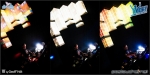 City birds - 9.3.12 - fotografie 65 z 76