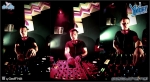 City birds - 9.3.12 - fotografie 71 z 76