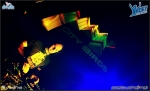 City birds - 9.3.12 - fotografie 74 z 76