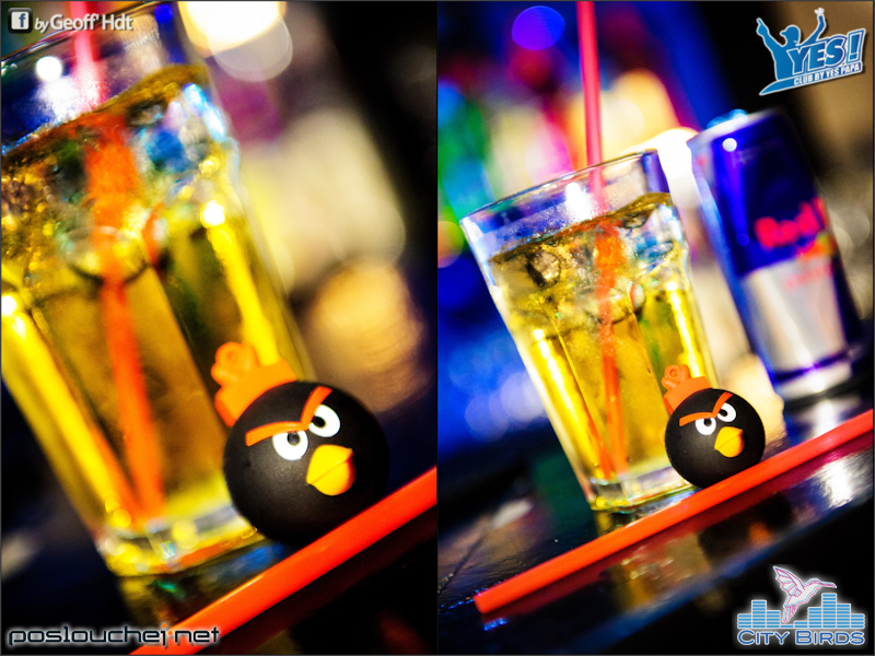 CITY BIRDS - Sobota 7. 4. 2012