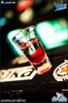 City birds - 7.4.12 - fotografie 64 z 75