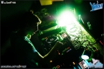 City birds - 7.4.12 - fotografie 67 z 75