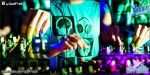 City birds - 7.4.12 - fotografie 69 z 75
