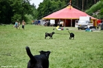 Fotky ze Soundfeer festivalu - fotografie 126