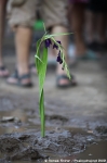 2. nsledujc fotografie