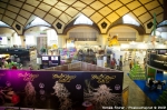 Fotoreport z Cannafestu - fotografie 114