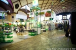 Fotoreport z Cannafestu - fotografie 118