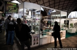 Fotoreport z Cannafestu - fotografie 153