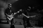 Fotky zBrutal Assault vJaromi - fotografie 168