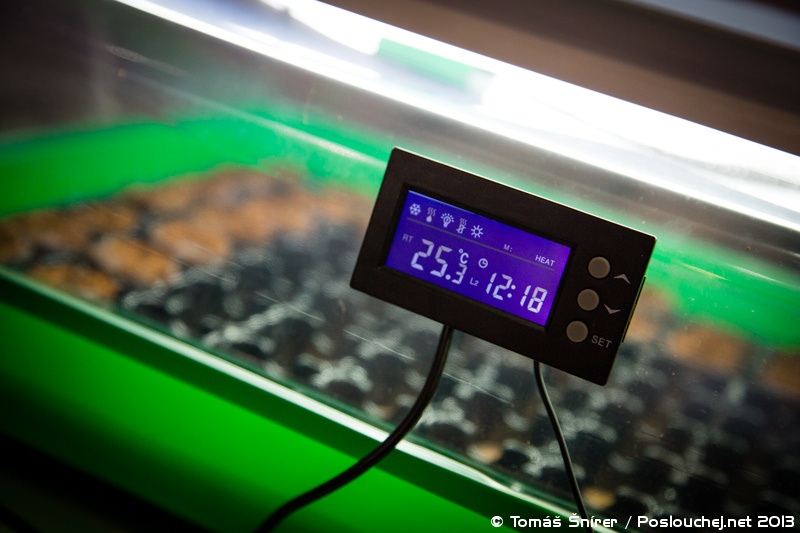CANNAFEST PRAGUE - Pátek 8. 11. 2013 až Neděle 10. 11. 2013