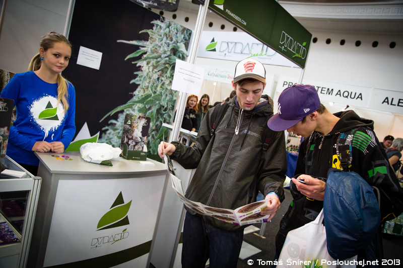 CANNAFEST PRAGUE - Pátek 8. 11. 2013 až Neděle 10. 11. 2013