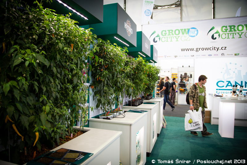 CANNAFEST PRAGUE - Pátek 8. 11. 2013 až Neděle 10. 11. 2013