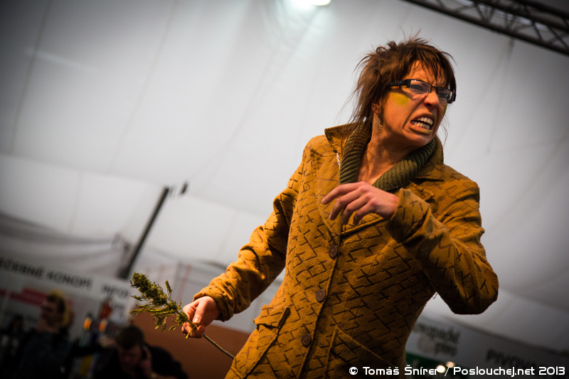 CANNAFEST PRAGUE - Pátek 8. 11. 2013 až Neděle 10. 11. 2013