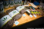 Canna Fest - 8. 1. 2013 - fotografie 80 z 126