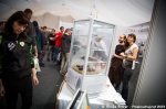 Canna Fest - 8. 1. 2013 - fotografie 88 z 126