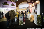 Canna Fest - 8. 1. 2013 - fotografie 108 z 126