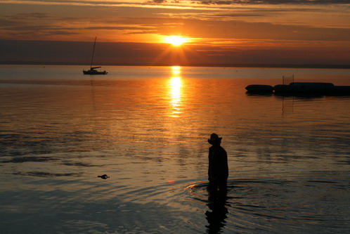 Balaton Sound - Fishing