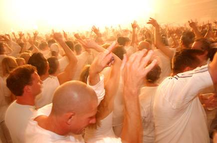 sensation white