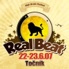 Festival RealBeat na hrad Tonk
