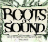 asov line-up na Roots of Sound
