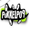 Pukkelpop belgick festivalov top