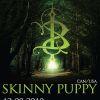 Za pár dní Praha přivítá  Skinny Puppy  