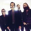 Grinderman na Colours of Ostrava