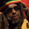 Fotky z koncertu Steel Pulse