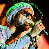 Fotky z Uprising Reggae Festival 2014