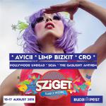 Avicii, Limp Bizkit adal na Szigetu