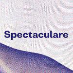 Spectaculare 2018 odstartuje Peter Broderick