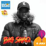 Rita Ora, Big Sean nebo Big Shaq na festivalu Balaton Sound