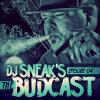 DJ Sneak 