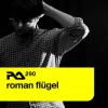 Roman Flugel
