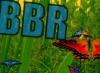 BBR 