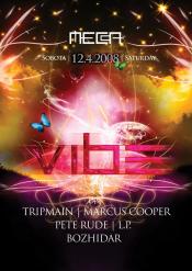 VIBE PRESENTS SPRING SENSATION