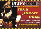 HEAVY ASSAULT