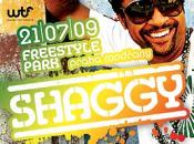 Koncert: SHAGGY