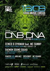 DNB DNA 