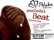 POSLEDNÍ BEAT DIRECTION