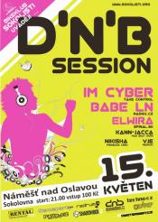 D'N'B SESSION VOL. 15