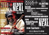 FEST BLUES KOLN