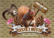 CESTA Z MSTA