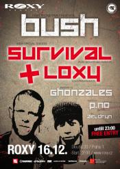 BUSH W/ LOXY & SURVIVAL