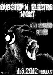 DUBSTEP'N'ELECTRO NIGHT